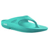 Recovery Foam Sandals/Light Colors - American Outdoor Woman